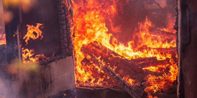 Cutting the threat of giant wildfires by axing harmful Clinton-era forest policies