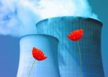 Trump fired NRC’s Hanson over a “conflict of visions”