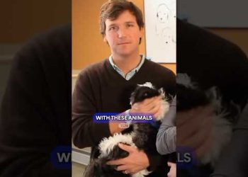 Tucker Carlson LOVES Dogs