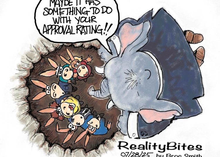Public Opinion