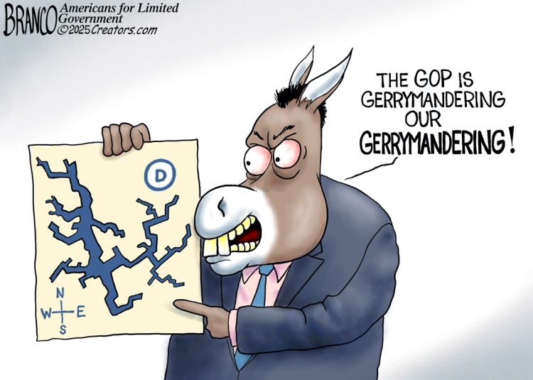 Branco Cartoon – Fixing The Fixers