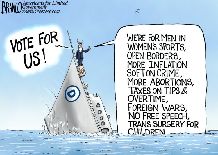 Branco Cartoon – D Platform