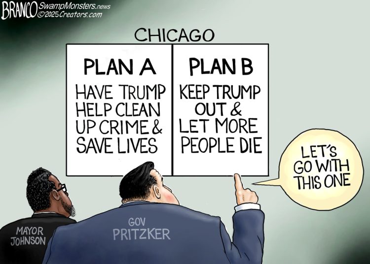 Branco Cartoon – Windy City TDS