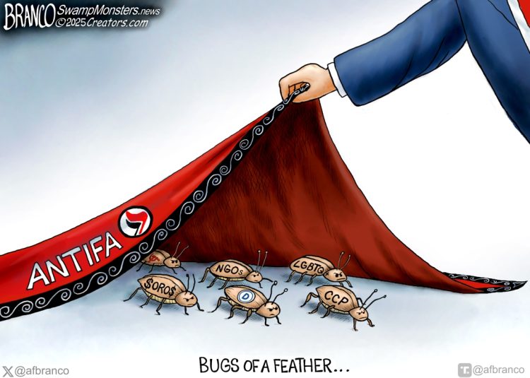 Branco Cartoon – Bugs Of A Feather…