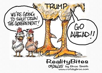 Playing Chicken