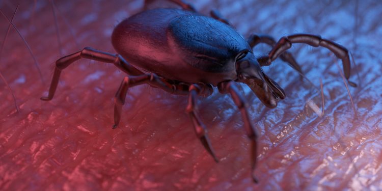 Weaponizing ticks: Academics propose meat allergy to fight climate change