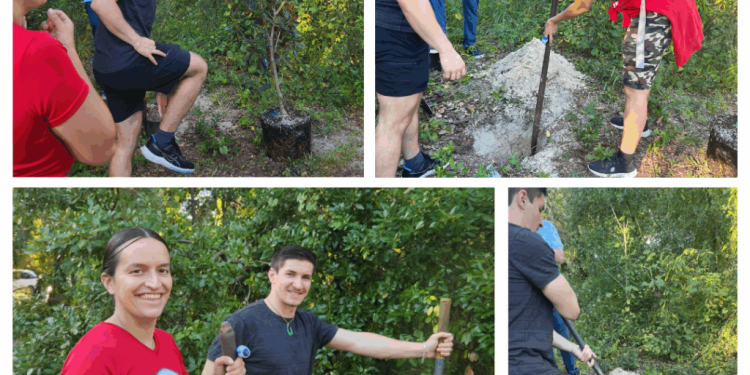 USF Collegians plant seeds of stewardship