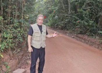 COP 30 UN scandal: Clearcutting the rainforest to save the world from climate change