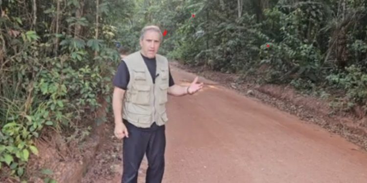 COP 30 UN scandal: Clearcutting the rainforest to save the world from climate change