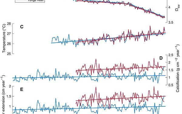 Scientists “surprised” that 200 year old corals are adapting to climate change just fine