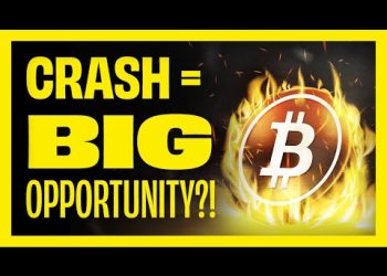 Bitcoin Drops to a 6-Month Low 📉: Is an Altcoin Season Ahead?