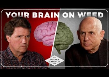 Big Pharma’s Most Dangerous Lie and the Dark Truth About Weed