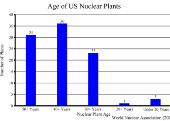 A nuclear resurgence, but major obstacles remain