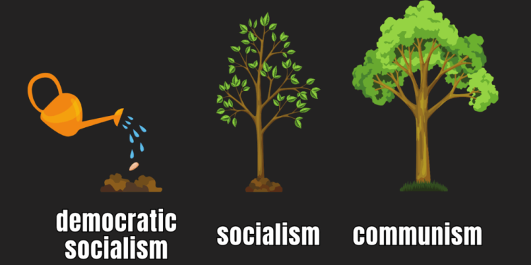 Mayor Mamdani: Marxism on Training Wheels?