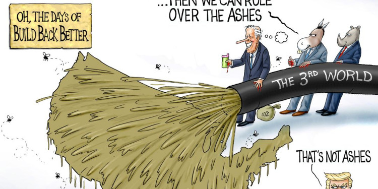 Branco Cartoon – Flooding The Zone