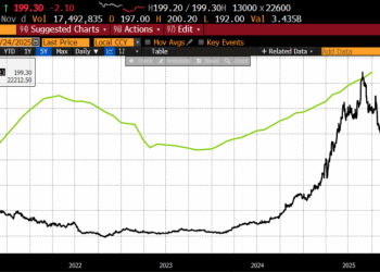 Are Labubus Gen Z’s Beanie Babies?