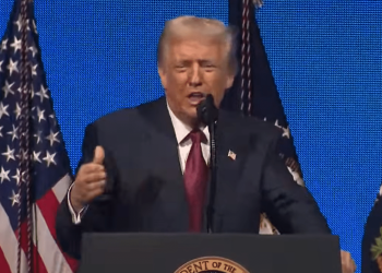 Thanks To President Trump The Number Of Unaccompanied Children Brought Across The Border Has Plummeted  