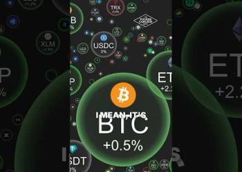 Brutal Truth About Crypto