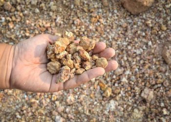 Forging and vaulting ahead for critical minerals