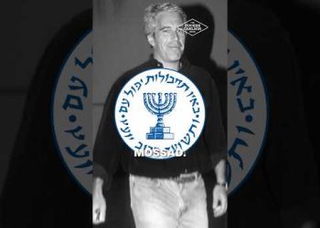 Who Was Epstein Really Working For?