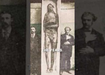 The Hidden Evidence of Nephilim?