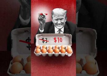 The Cost of Eggs Is a Lie