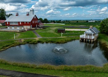 CFACT urges EPA and the Corps to lock in Sackett’s limits on WOTUS