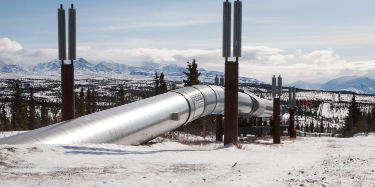 The new Alaska gold rush