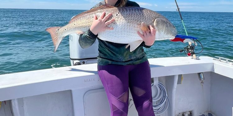 Menhaden madness in Virginia (ft. Whit Fosburgh of Forage Fish Campaign)